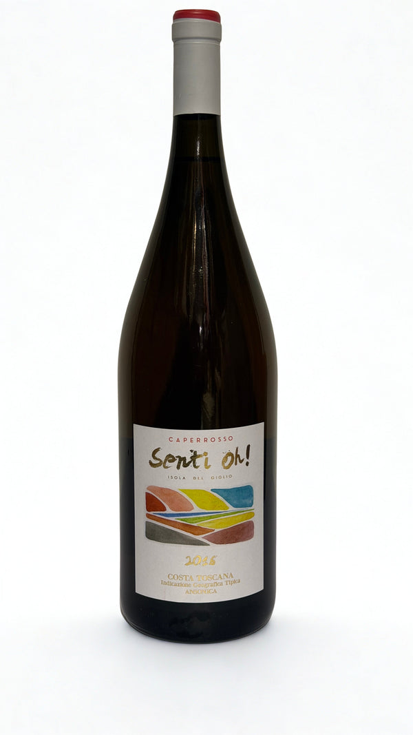 Fontuccia Senti Oh! Ansonica 2016 Magnum - Bottle Hero