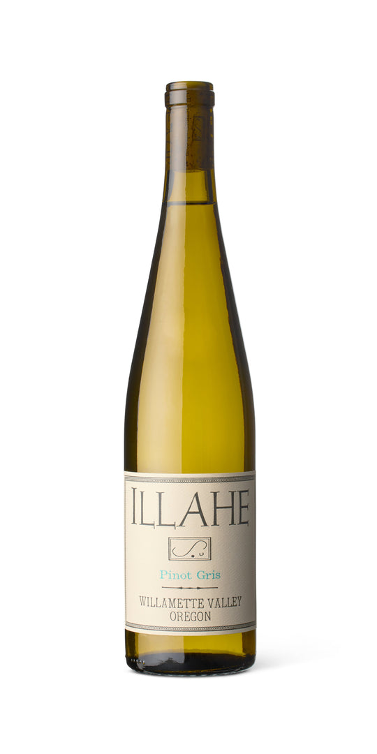 Illahe Winery, Pinot Gris, Willamette Valley, 2022 - Bottle Hero