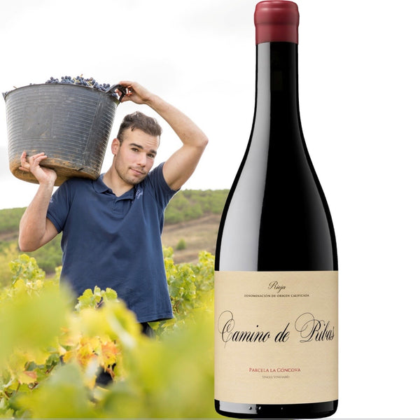 José Gil - Camino de Ribas, 2024 - Bottle Hero
