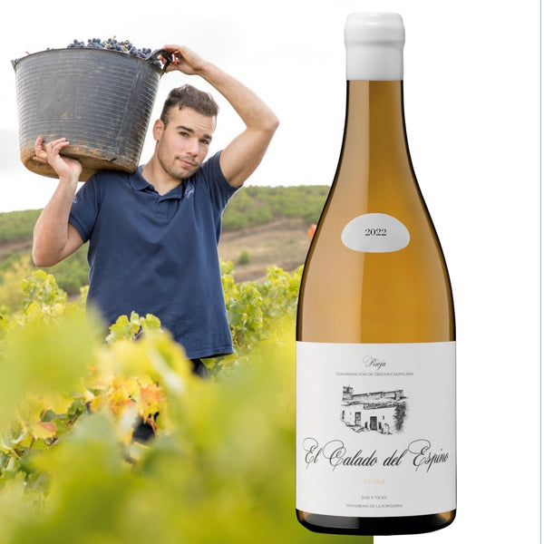 José Gil - El Calado del Espino, 2023 - Bottle Hero