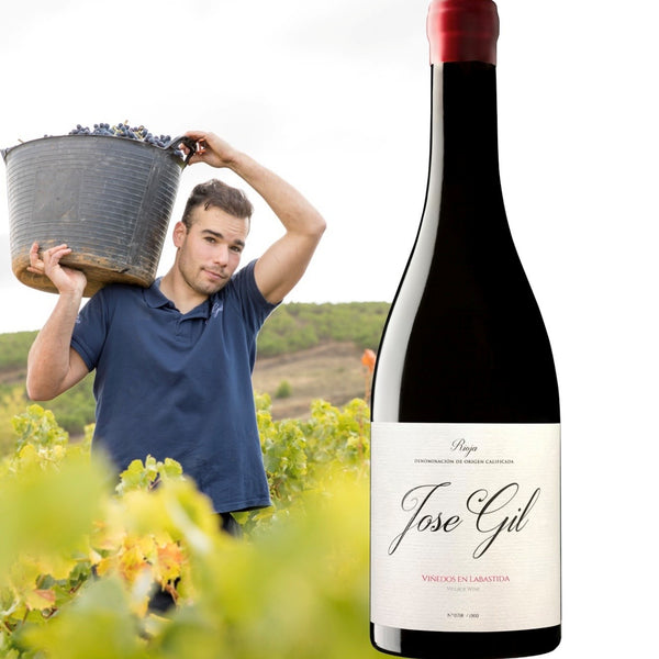 José Gil - Vinedos En Labastida, 2024 - Bottle Hero