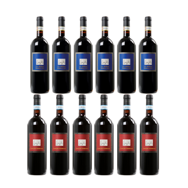 6 fl. Barbera Ca di Pian + 6 fl. Langhe Nebbiolo