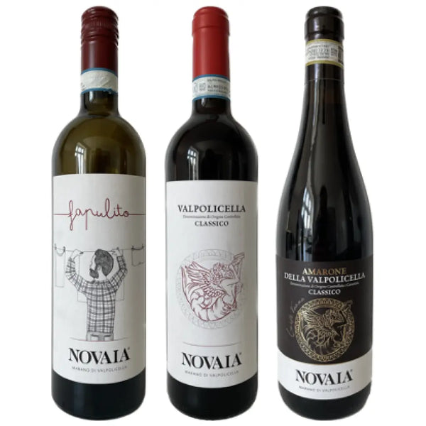 Novaia - Valpolicella Smagekasse - Vin for Begyndere Podcast - Bottle Hero