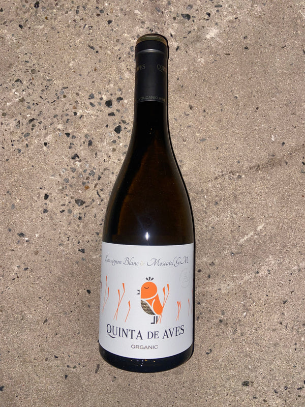 Quinta de Aves, Sauvignon Blanc & Moscatel - Bottle Hero