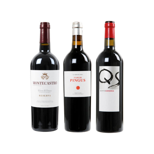 Flor de Pingus 2021 x Quinta Sardonia 2016 x Montecastro Reserva 2019 - bottlehero.dk
