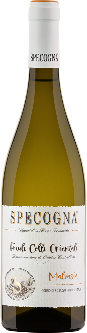 Specogna, Malvasia DOC, 2025 - Bottle Hero