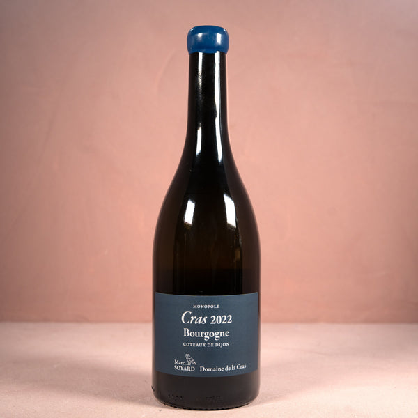 Domaine de la Cras, Bourgogne Les Cras Monopole Blanc 2022 - Bottle Hero