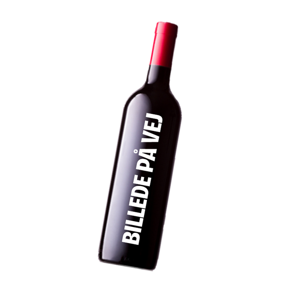 Albet i Noya, Brut 21 Magnum, 2019 - Bottle Hero