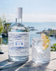 Artic Brands Group, Artic Blue 46% - Bottle Hero