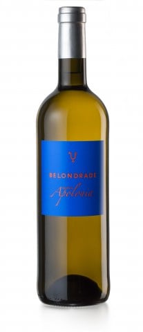 Belondrade, Quinta Apolonia 2025 White - Bottle Hero