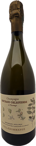 Bertrand-Delespierre Villedommange Extra Brut 2019 - Bottle Hero