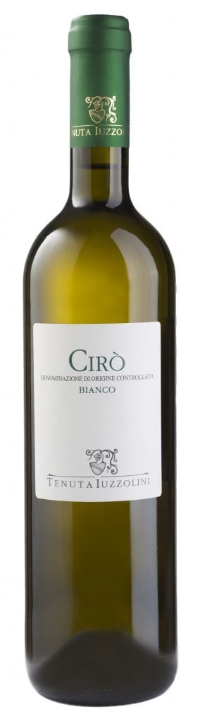Tenuta Iuzzolini, Cirò Bianco 2025 White - Bottle Hero