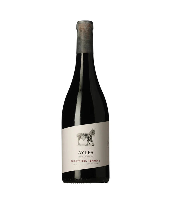Bodega Pago Aylés, Aylés Cuesta del Herrero Vino de Pago, 2022 - Bottle Hero