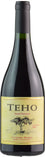 Bodega TintoNegro Teho Malbec 2018