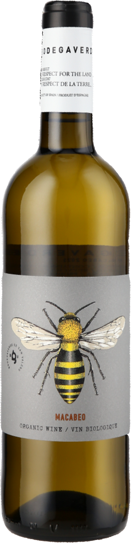 Bodegas San Valero, BodegaVerde Bee Macabeo, 2024 - Bottle Hero