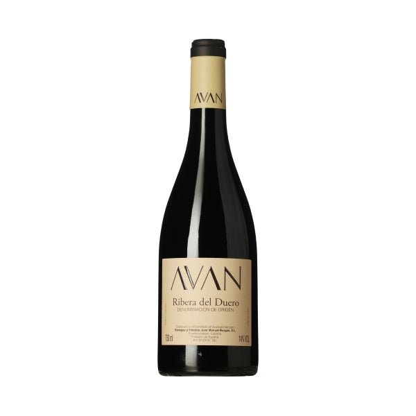 Bodegas y Viñedos Juan Manuel Burgos, AVAN Ribera del Duero, 2022 - Bottle Hero