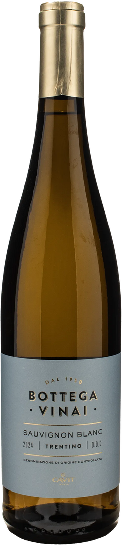 Bottega Vinai Sauvignon Blanc Trentino 2024