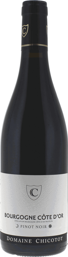 Bourgogne Cote D'or Pinot Noir Domaine Chicotot, 2021 - Bottle Hero