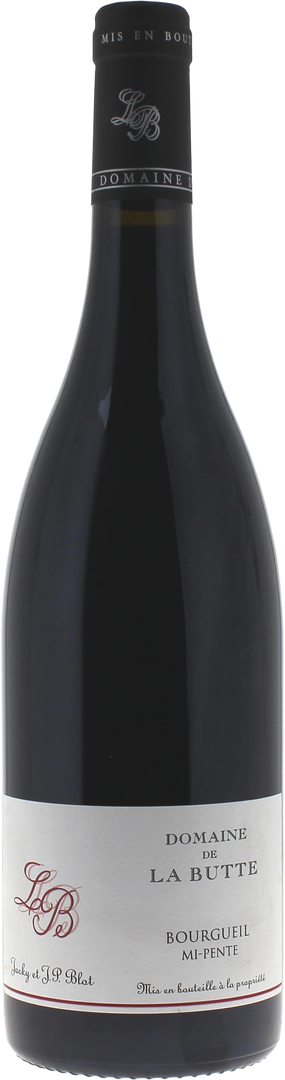 Bourgueil Domaine De La Butte J. Blot Mi Pente Bourgueil, 2021 - Bottle Hero