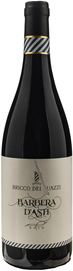 Bricco dei Guazzi Barbera d'Asti 2023 - Bottle Hero