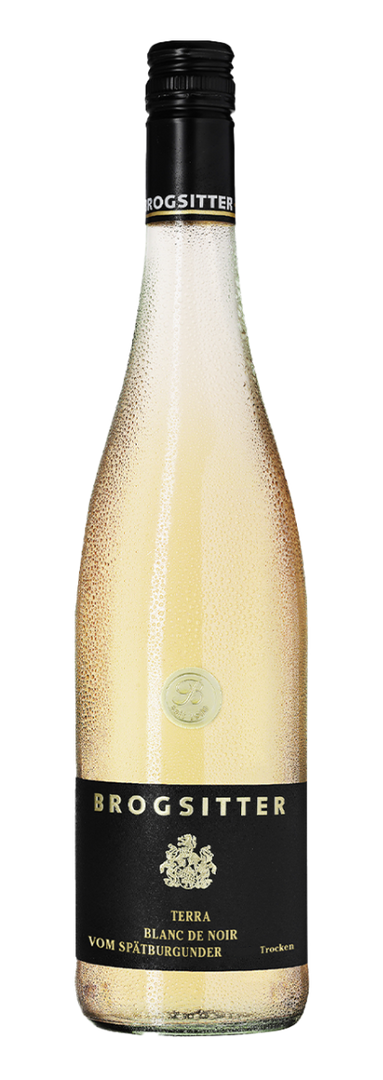 Brogsitter Weingüter, Rheinhessen Terra Blanc Spätburgunder Blanc de Noir 2024 - Bottle Hero