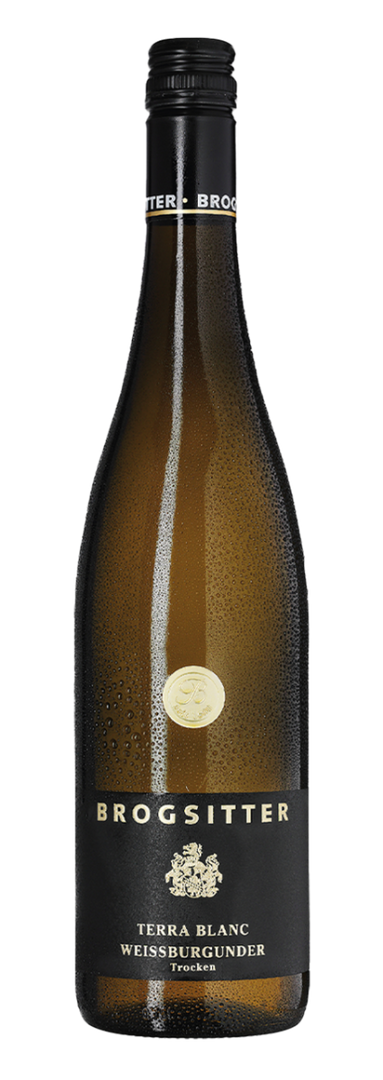 Brogsitter Weingüter, Rheinhessen Terra Blanc Weissburgunder 2024 - Bottle Hero