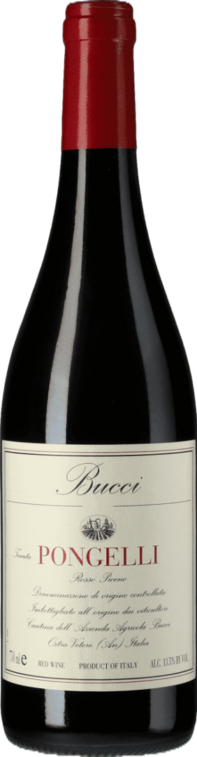 Bucci, Rosso Piceno D.O.C. “Tenuta Pongelli” 2021  - Bottle Hero