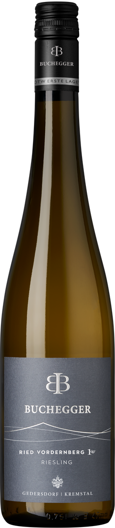 Weingut Buchegger, Riesling Ried Vordernberg 1. Lage ÖTW, 2021 - Bottle Hero