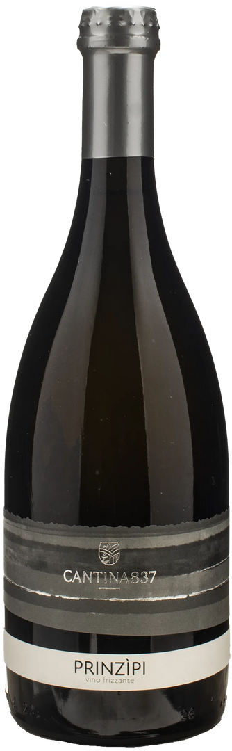 Cantina 837 Piwi Prinzipi 2024