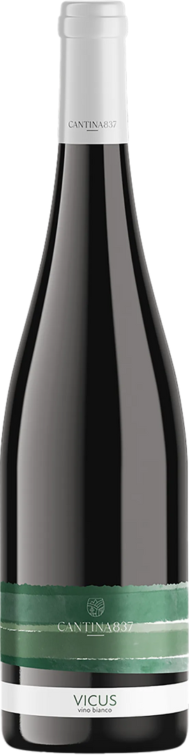 Cantina 837 Piwi Vicus 2023