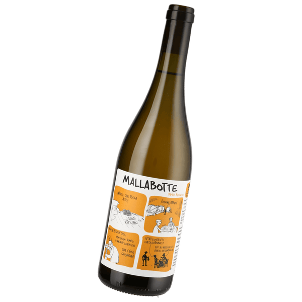 Cantina Pulaio, Malla Botta, 2024