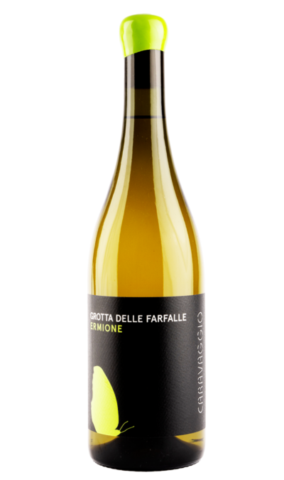 Caravaggio, Terre d'Abruzzo Pecorino I.G.T. Ermione "Grotta delle Farfalle" 2022  - Bottle Hero