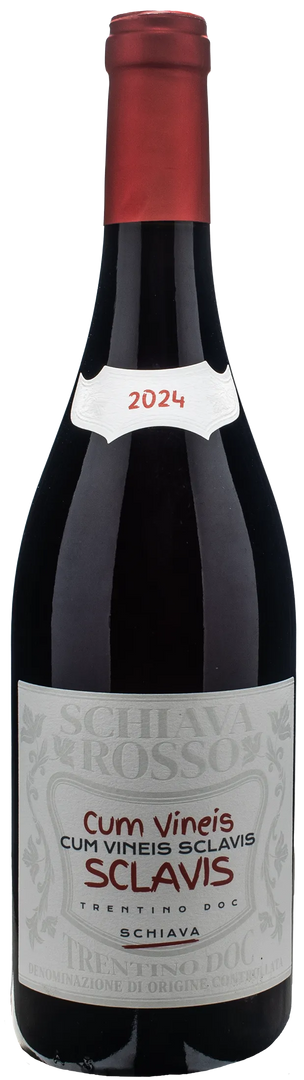Cavit Trentino Schiava Cum Vineis Sclavis 2024 - Bottle Hero