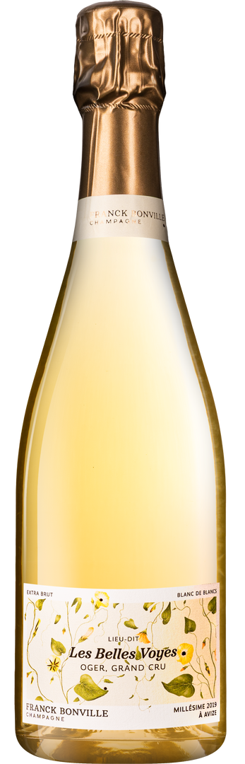 Champagne Franck Bonville - 2019 Les Belles Voyes Grand Cru - Bottle Hero