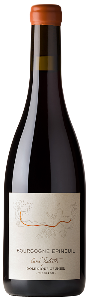 Domaine Dominique Gruhier, Bourgogne Epineuil Cuvée Juliette ØKO, 2021 - Bottle Hero