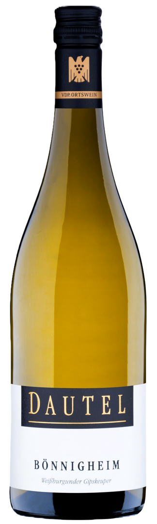Weingut Dautel, Weissburgunder Bönnigheim, 2024 - Bottle Hero