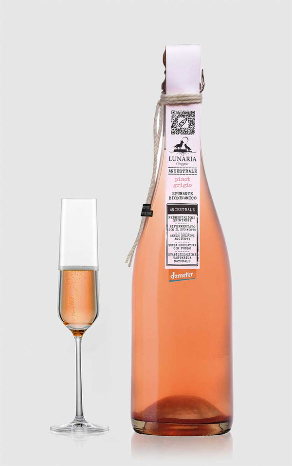 Pet Nat Brut Nature Lunaria Pinot Grigio Ancestrale Spumante Cantine Orsogna Abruzzo 2025 - Bottle Hero