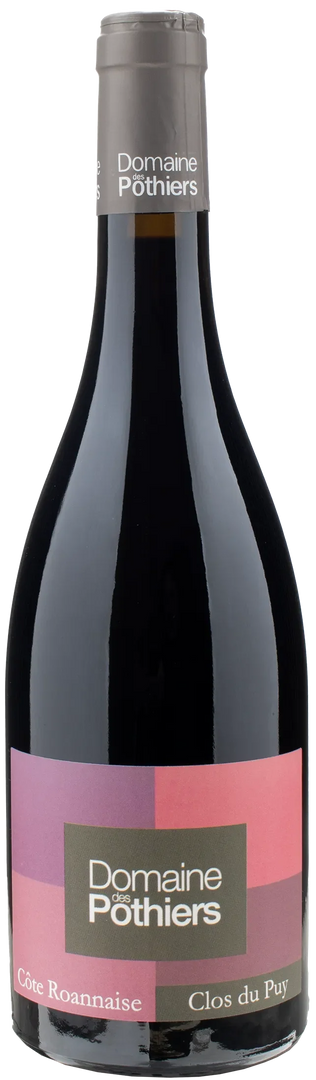 Domaine des Pothiers Cote Roannaise Rouge Clos de Puy 2022 - Bottle Hero