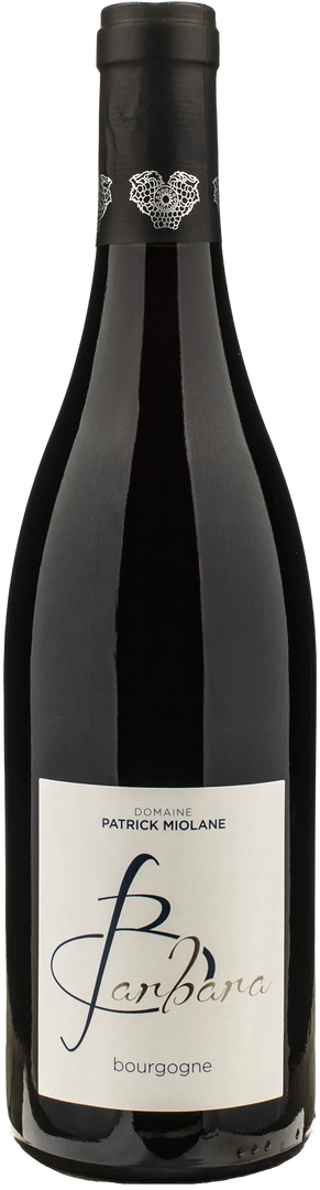 Domaine Patrick Miolane Bourgogne Barbara 2023