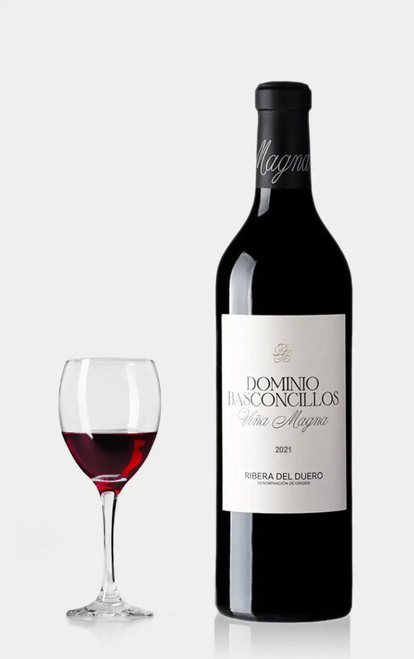 Dominio Basconcillos, Vina Magna Crianza 2022 - Bottle Hero