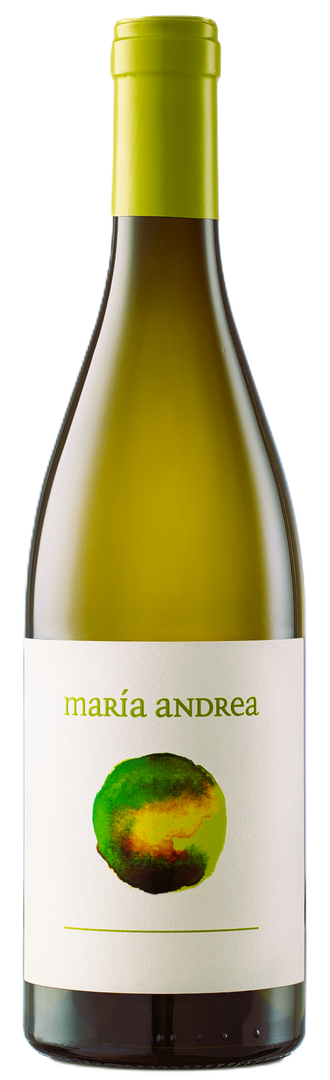 Eduardo Peña, Ribeiro María Andrea Blanco, 2024 - Bottle Hero