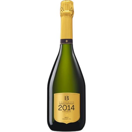 Forget-Brimont, Champagne Millésime 2016 - Bottle Hero