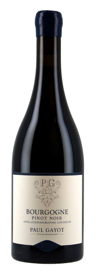 Paul Gayot, Bourgogne Pinot Noir 2023 - Bottle Hero