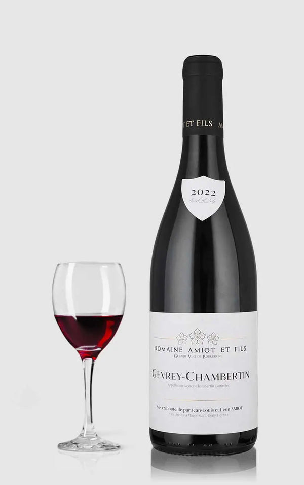 Gevrey Chambertin, Léon Amiot 2021 - Bottle Hero