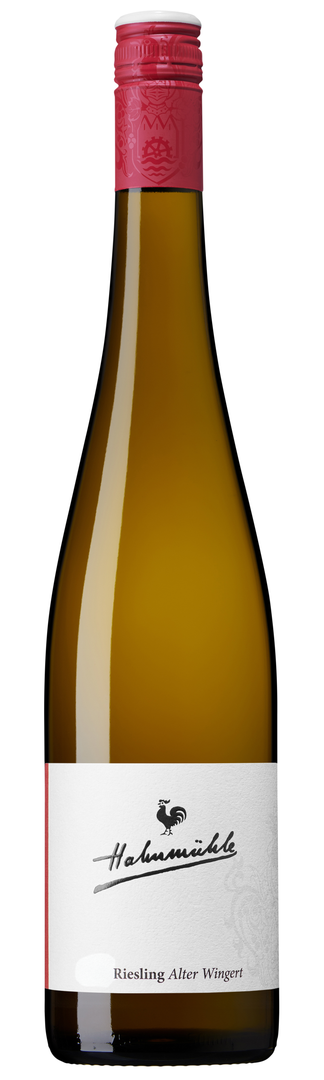 Weingut Hahnmühle, Riesling Trocken Alter Wingert ØKO, 2024 - Bottle Hero