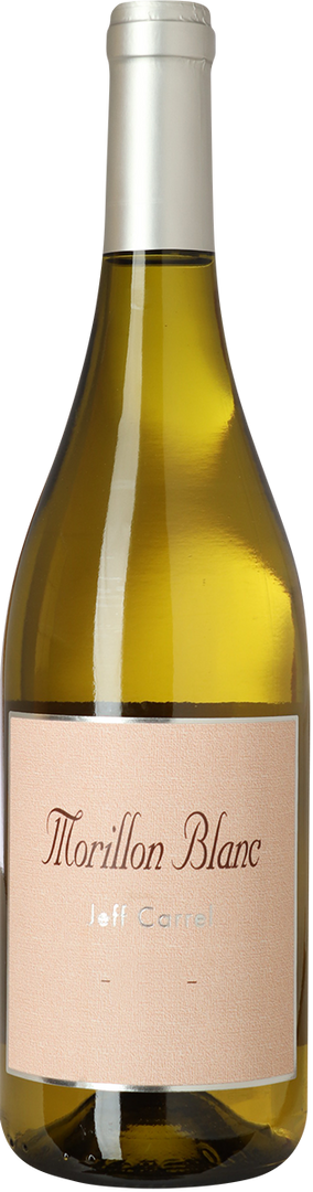 2025 Morillon Blanc, Jeff Carrel - Bottle Hero
