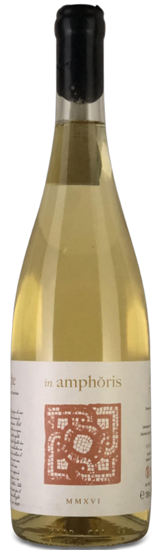 Ronchi, Langhe Arneis D.O.C. "In Amphoris" 2024  - Bottle Hero