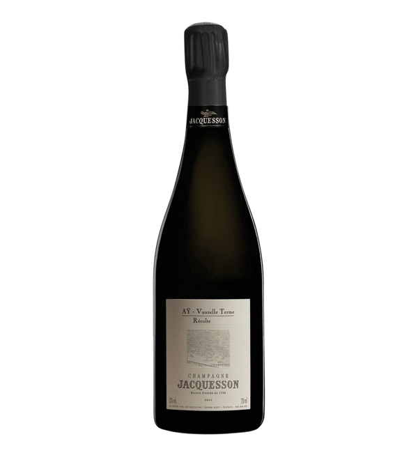 Jacquesson Vauzelle Terme Extra Brut Récolte, Aÿ 2009 Magnum - Bottle Hero