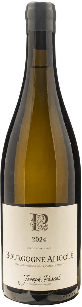 Joseph Pascal Bourgogne Aligote 2024