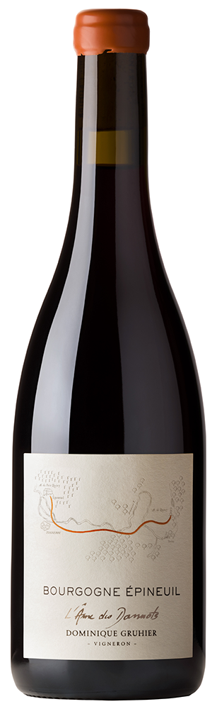Domaine Dominique Gruhier, Bourgogne Epineuil L’Âme Des Dannots ØKO, 2023 - Bottle Hero